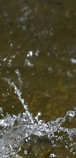 foto/forum/2012/th-img20783.jpg
