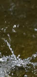 foto/forum/2012/th-img20784.jpg