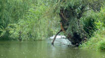 foto/forum/2012/th-img20785.jpg
