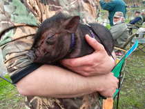 foto/forum/2012/th-img20802.jpg