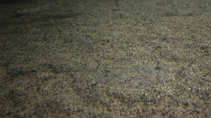 foto/forum/2012/th-img20809.jpg