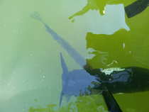 foto/forum/2012/th-img20812.jpg