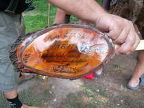 foto/forum/2012/th-img20815.jpg