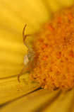 foto/forum/2012/th-img20851.jpg