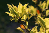 foto/forum/2012/th-img20853.jpg