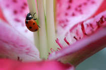 foto/forum/2012/th-img20854.jpg