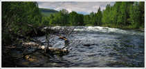 foto/forum/2012/th-img20856.jpg