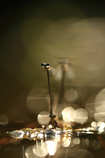 foto/forum/2012/th-img20882.jpg