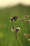 foto/forum/2012/th-img20891.jpg