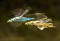 foto/forum/2012/th-img20897.jpg