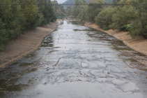 foto/forum/2012/th-img20974.jpg