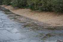 foto/forum/2012/th-img20975.jpg