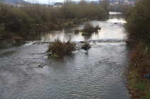 foto/forum/2012/th-img20976.jpg