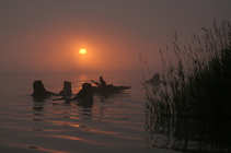 foto/forum/2012/th-img21018.jpg