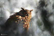 foto/forum/2012/th-img21023.jpg