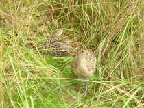foto/forum/2012/th-img21033.jpg