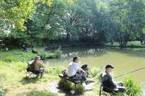 foto/forum/2012/th-img21043.jpg