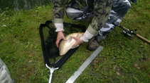 foto/forum/2012/th-img21095.jpg