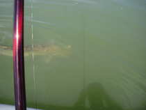 foto/forum/2012/th-img21103.jpg