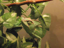 foto/forum/2012/th-img21115.jpg
