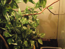 foto/forum/2012/th-img21116.jpg