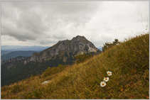 foto/forum/2012/th-img21127.jpg