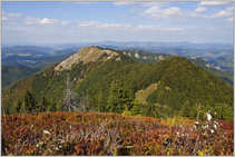 foto/forum/2012/th-img21128.jpg