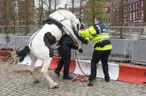 foto/forum/2012/th-img21134.jpg