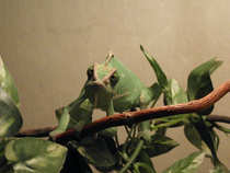 foto/forum/2012/th-img21155.jpg