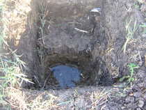 foto/forum/2012/th-img21156.jpg