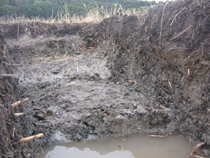 foto/forum/2012/th-img21159.jpg