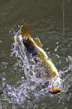 foto/forum/2012/th-img21164.jpg