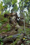 foto/forum/2012/th-img21189.jpg