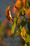 foto/forum/2012/th-img21192.jpg