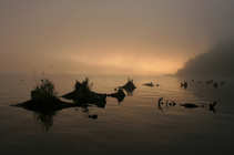 foto/forum/2012/th-img21194.jpg