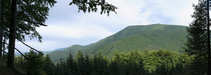 foto/forum/2012/th-img21212.jpg