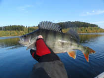foto/forum/2012/th-img21224.jpg