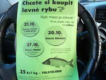 foto/forum/2012/th-img21235.jpg