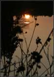foto/forum/2012/th-img21241.jpg