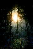 foto/forum/2012/th-img21242.jpg