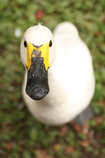 foto/forum/2012/th-img21252.jpg