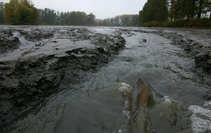foto/forum/2012/th-img21256.jpg