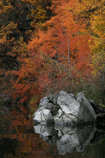 foto/forum/2012/th-img21258.jpg