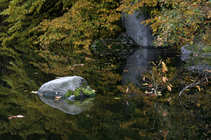 foto/forum/2012/th-img21260.jpg