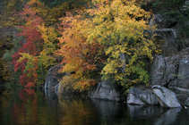 foto/forum/2012/th-img21261.jpg