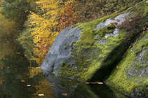 foto/forum/2012/th-img21262.jpg