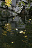 foto/forum/2012/th-img21263.jpg