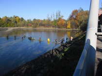 foto/forum/2012/th-img21265.jpg