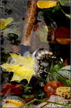 foto/forum/2012/th-img21272.jpg