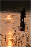 foto/forum/2012/th-img21283.jpg